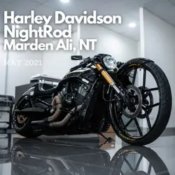 HD Nightrod Winner