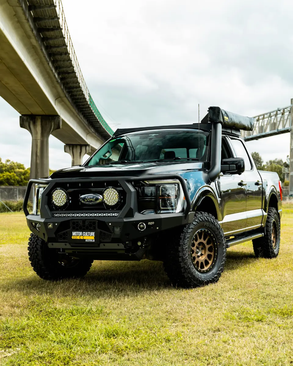 CUSTOM FORD F150