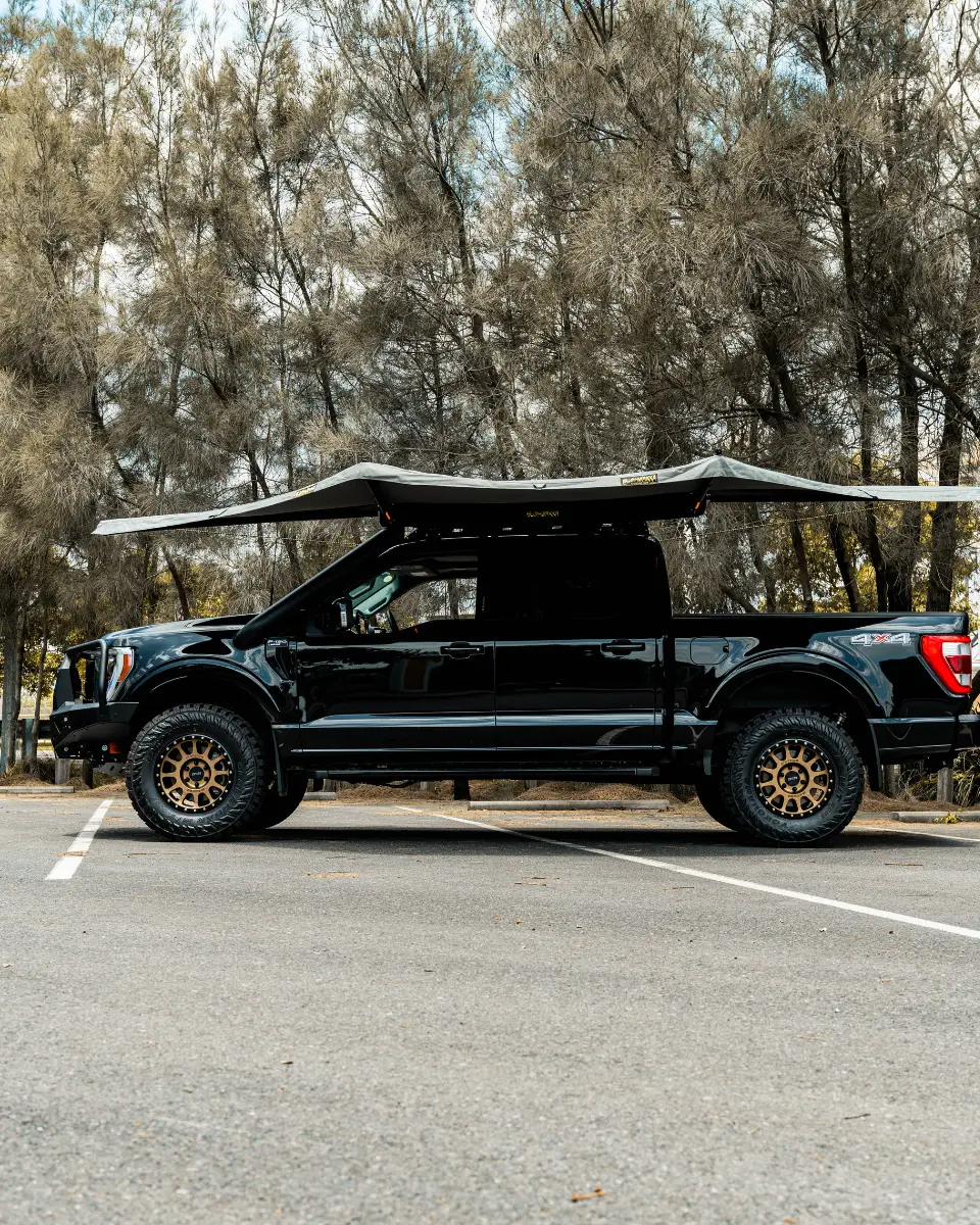 CUSTOM FROD F150 GALLERY (2)