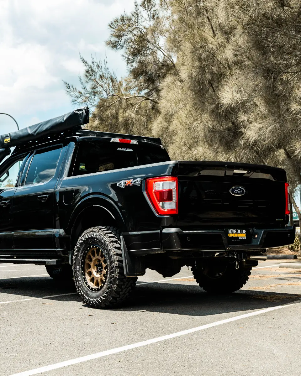 CUSTOM FROD F150 GALLERY (4)