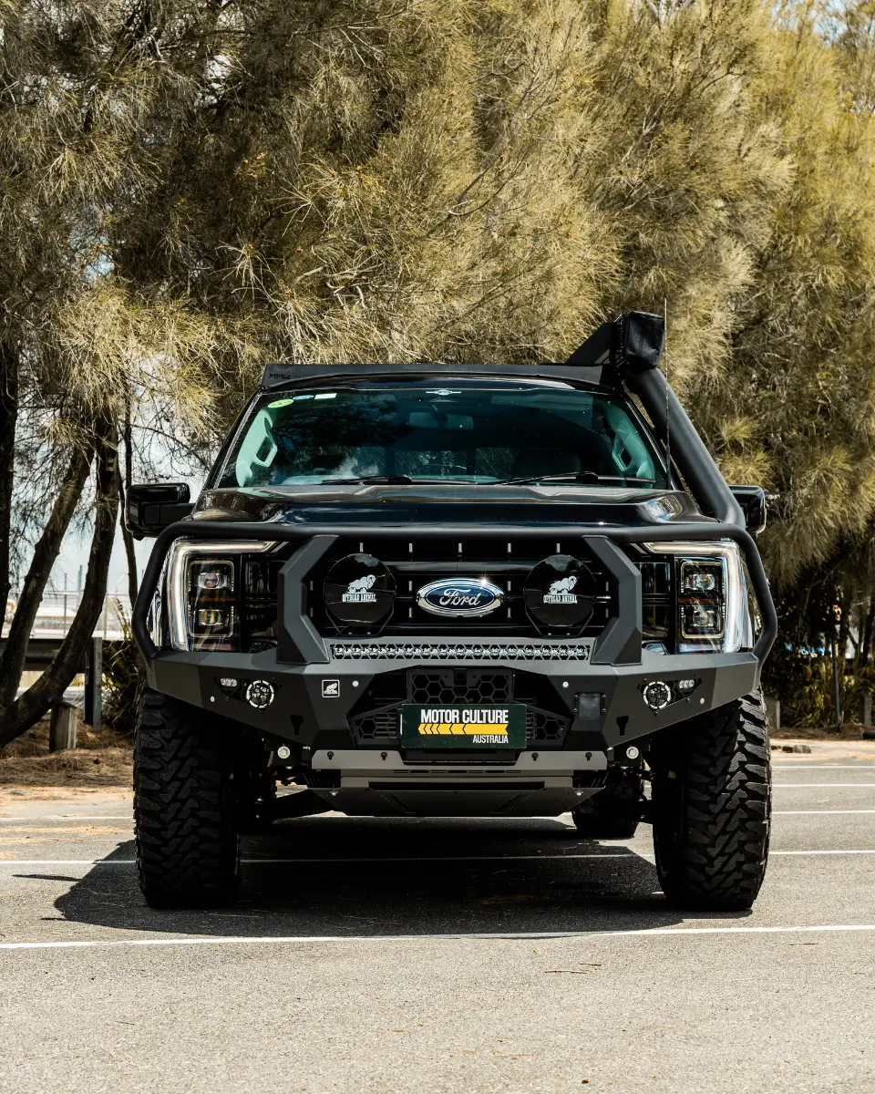 CUSTOM FROD F150 GALLERY (5)