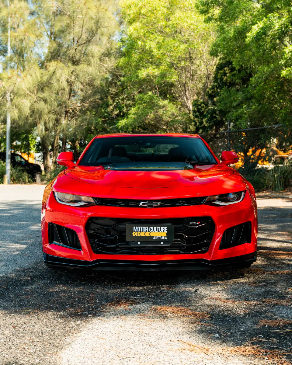 CAMARO GALLERY